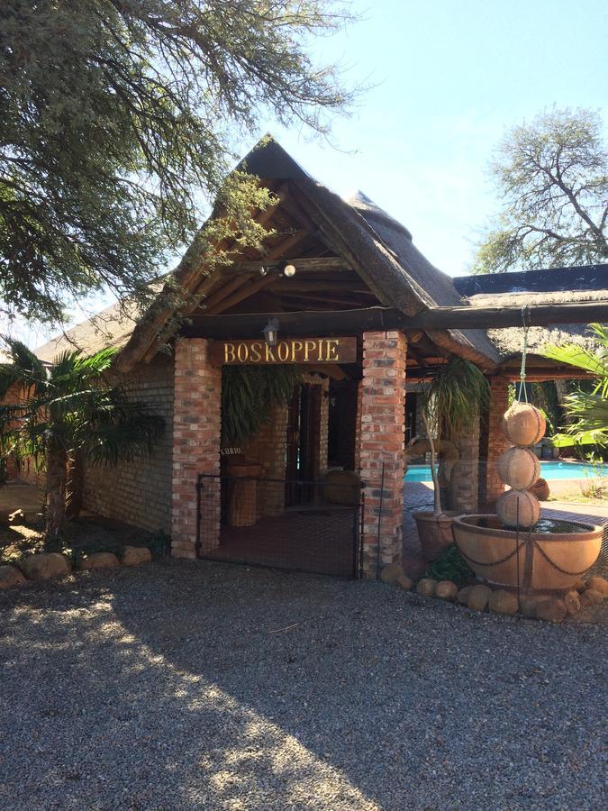 Boskoppie Lion & Tiger Reserve クルーンスタッド エクステリア 写真
